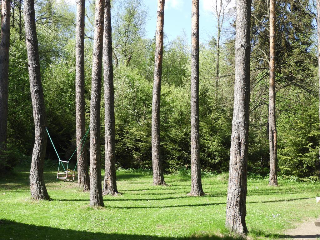 Chata Dasa High Tatras Mlynceky Exterior foto