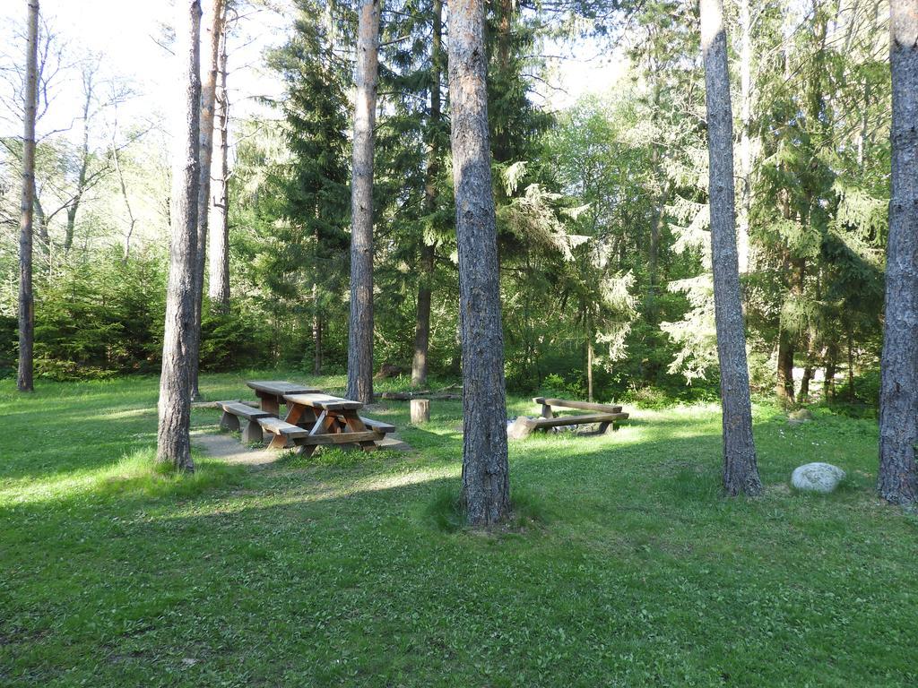 Chata Dasa High Tatras Mlynceky Exterior foto